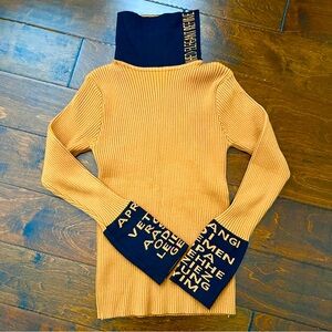 Pumpkin and black ribbed turtle neck